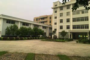 company- IResearch 3